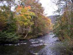 metcalf bottoms