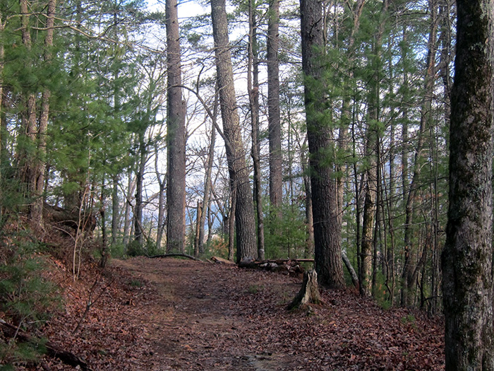 wet bottom trail trailhead