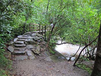 bridge at chimneys tops trail